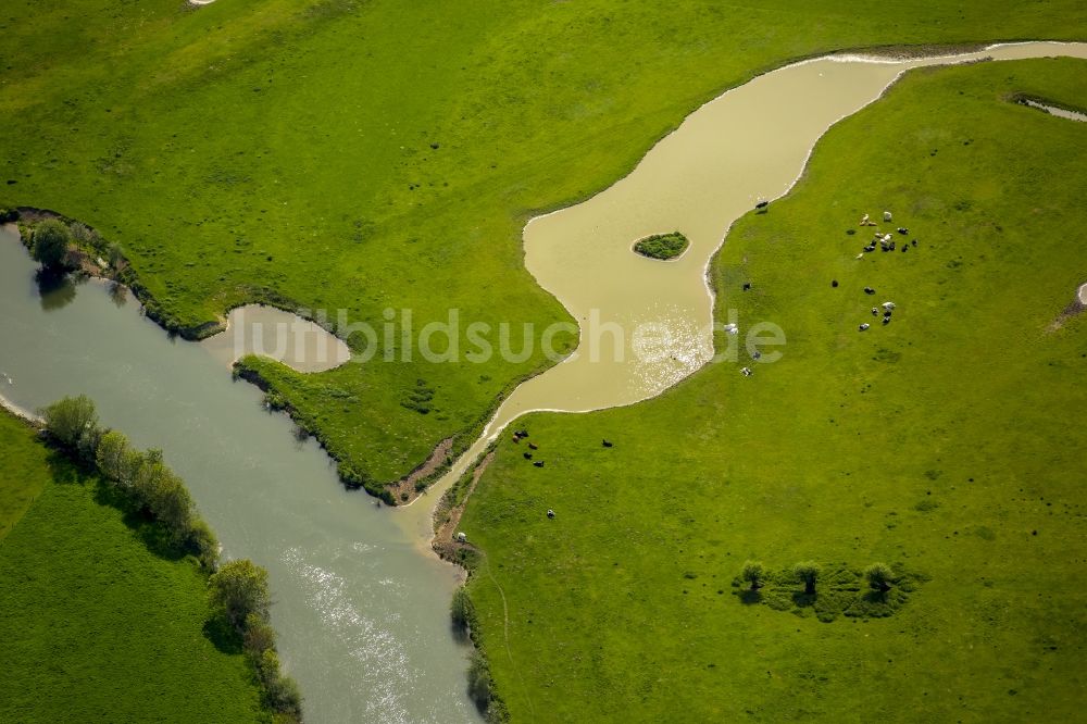 Hamm aus der Vogelperspektive: Grasflächen- Strukturen einer Feld- Landschaft in Werne im Bundesland Nordrhein-Westfalen