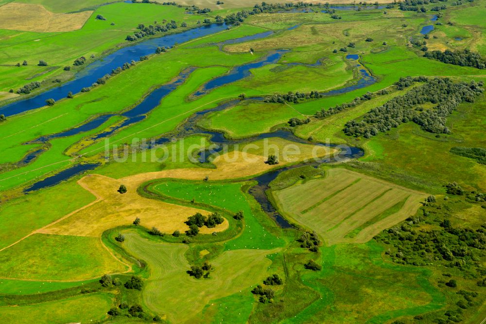 Zützen aus der Vogelperspektive: Grasflächen- Strukturen einer Feld- Landschaft in Zützen im Bundesland Brandenburg, Deutschland