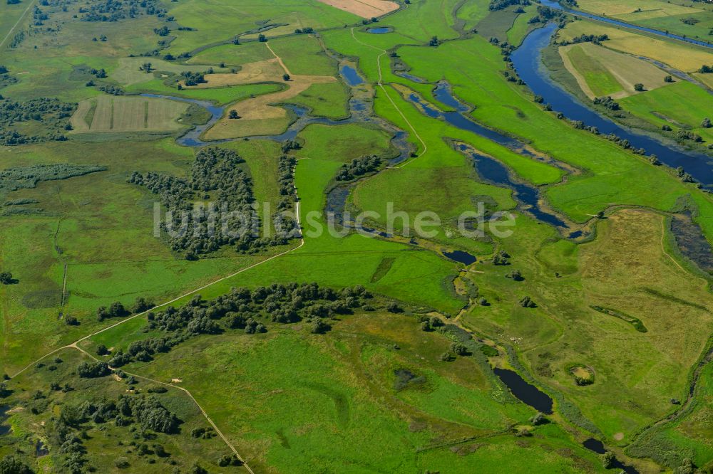 Luftaufnahme Zützen - Grasflächen- Strukturen einer Feld- Landschaft in Zützen im Bundesland Brandenburg, Deutschland