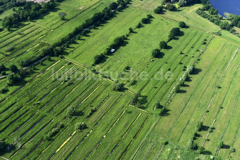 Hamburg von oben - Grasflächen- Strukturen einer Feld- und Wiesen- Landschaft bei Kraueler in Hamburg