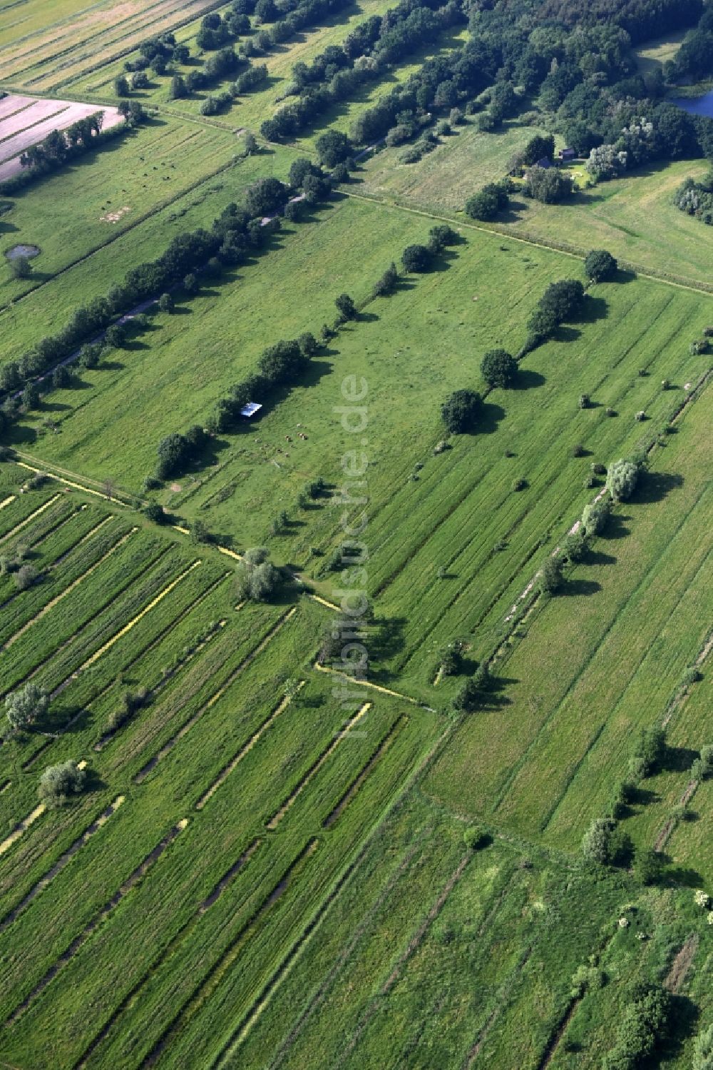 Hamburg aus der Vogelperspektive: Grasflächen- Strukturen einer Feld- und Wiesen- Landschaft bei Kraueler in Hamburg