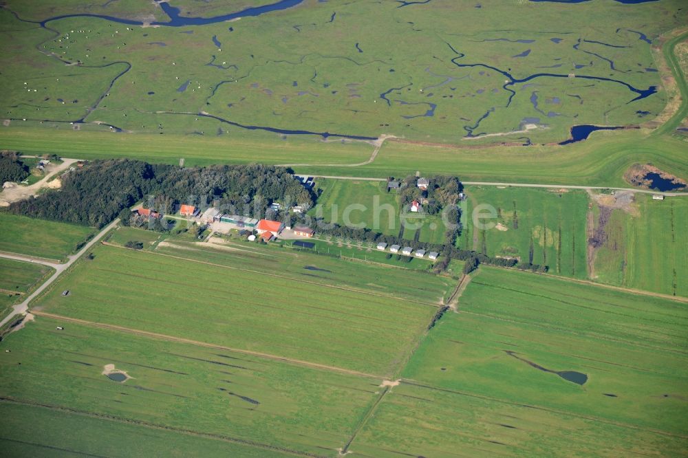 Insel Neuwerk aus der Vogelperspektive: Grasflächen- Strukturen einer Hallig- Landschaft in Insel Neuwerk im Bundesland Hamburg