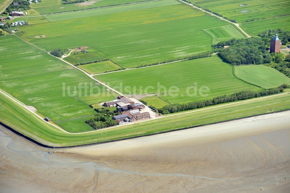 Insel Neuwerk aus der Vogelperspektive: Grasflächen- Strukturen einer Hallig- Landschaft in Insel Neuwerk im Bundesland Hamburg