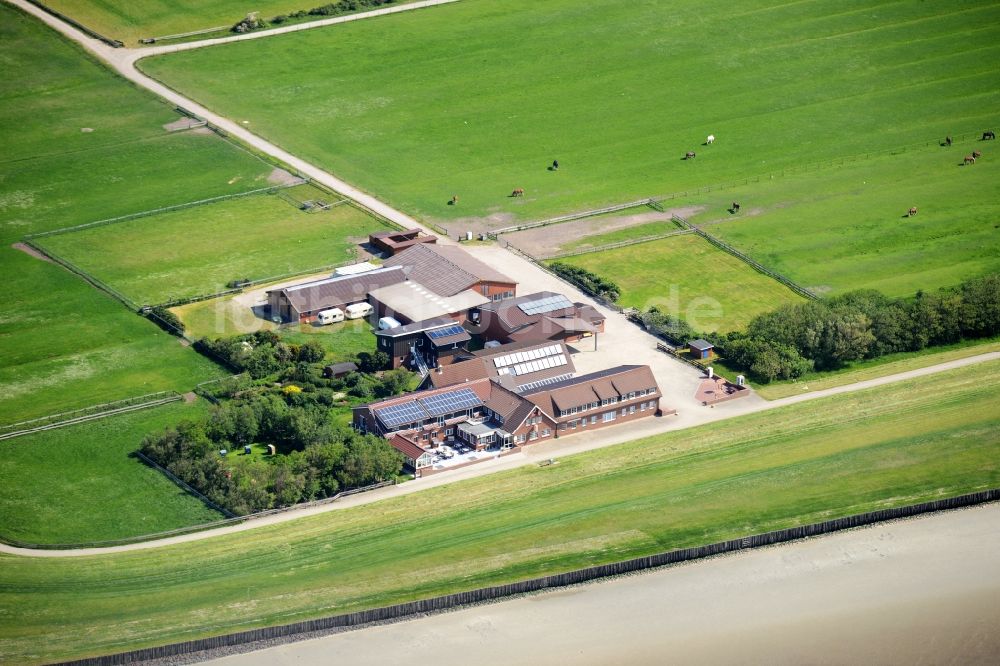 Luftbild Insel Neuwerk - Grasflächen- Strukturen einer Hallig- Landschaft in Insel Neuwerk im Bundesland Hamburg