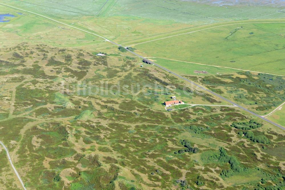 Langeoog von oben - Grasflächen- Strukturen einer Hallig- Landschaft in Langeoog im Bundesland Niedersachsen