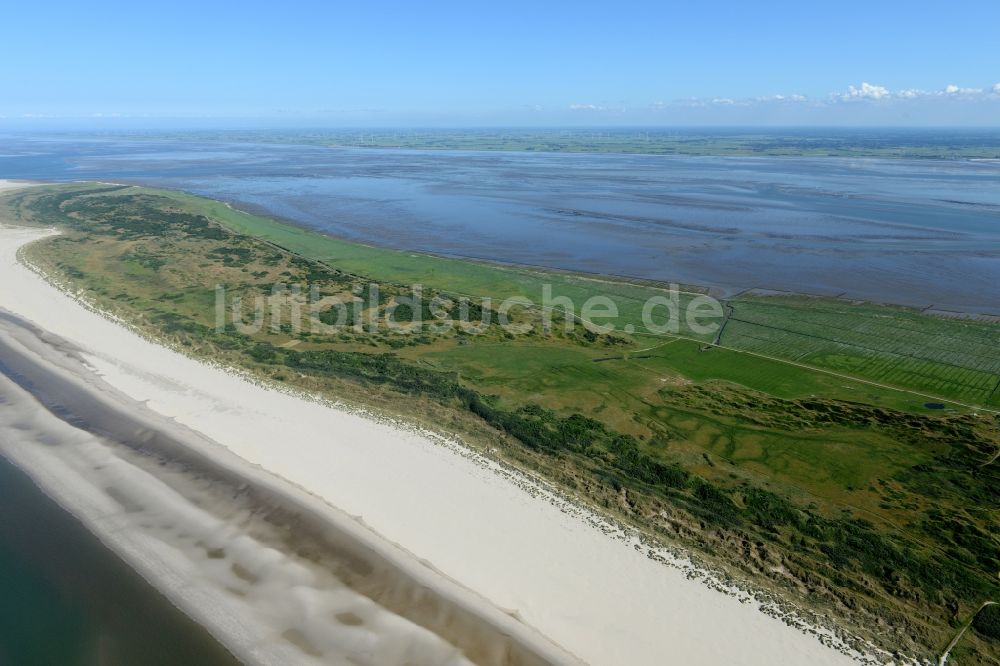 Langeoog aus der Vogelperspektive: Grasflächen- Strukturen einer Hallig- Landschaft in Langeoog im Bundesland Niedersachsen