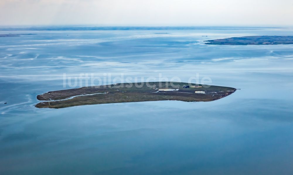 Gröde aus der Vogelperspektive: Grasflächen- Strukturen einer Hallig- Landschaft der Nordsee in Gröde im Bundesland Schleswig-Holstein, Deutschland