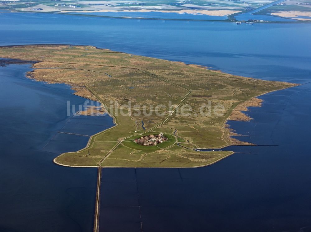 Luftbild Langeness - Grasflächen- Strukturen einer Hallig- Landschaft in Oland im Bundesland Schleswig-Holstein, Deutschland