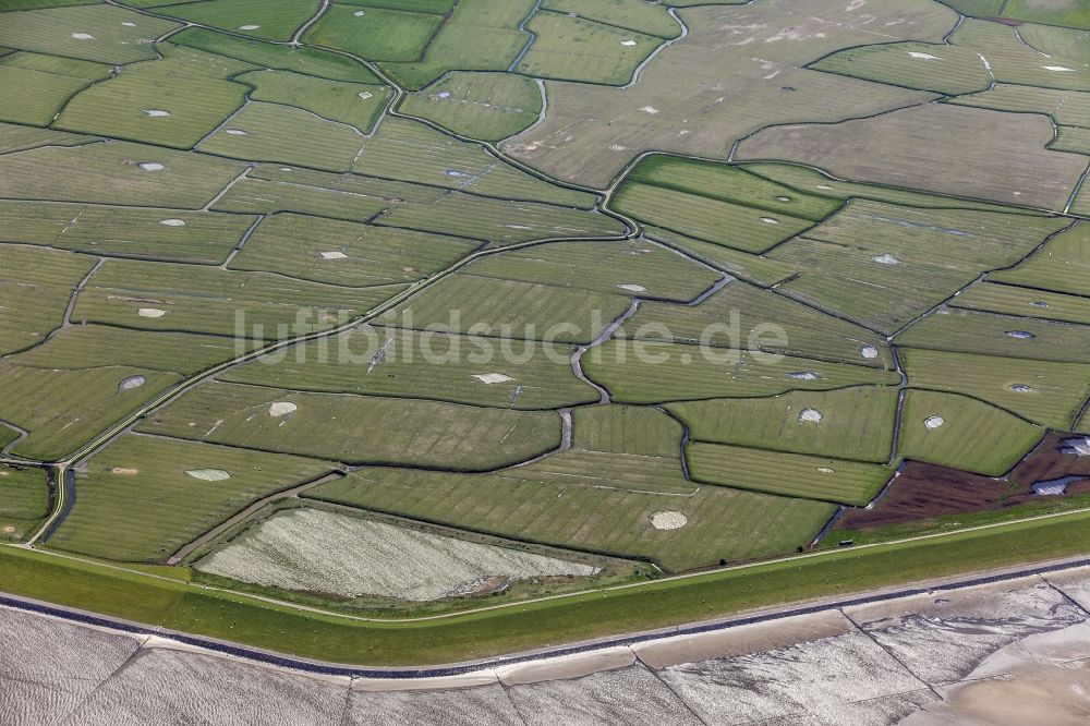 Westerhever von oben - Grasflächen- Strukturen einer Küsten- Landschaft im Ortsteil Hauert in Westerhever im Bundesland Schleswig-Holstein