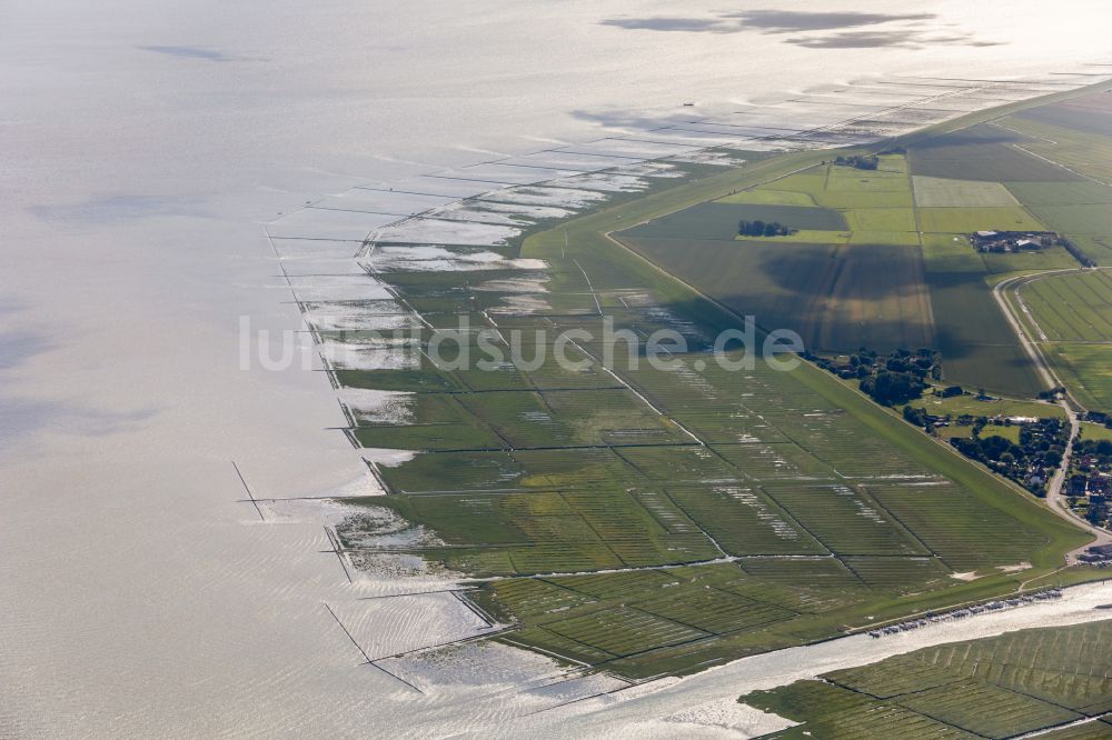 Nordstrand aus der Vogelperspektive: Grasflächen- Strukturen einer Salzwiesen- Landschaft in Nordstrand im Bundesland Schleswig-Holstein, Deutschland