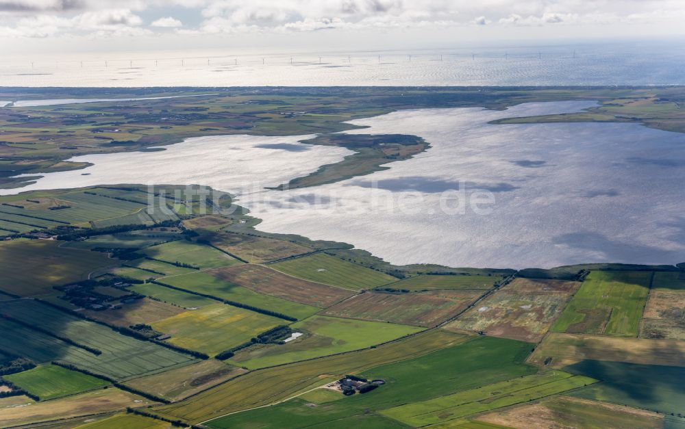 Ringköbing von oben - Grasflächen- Strukturen einer Salzwiesen- Landschaft in Ringköbing in Region Midtjylland, Dänemark