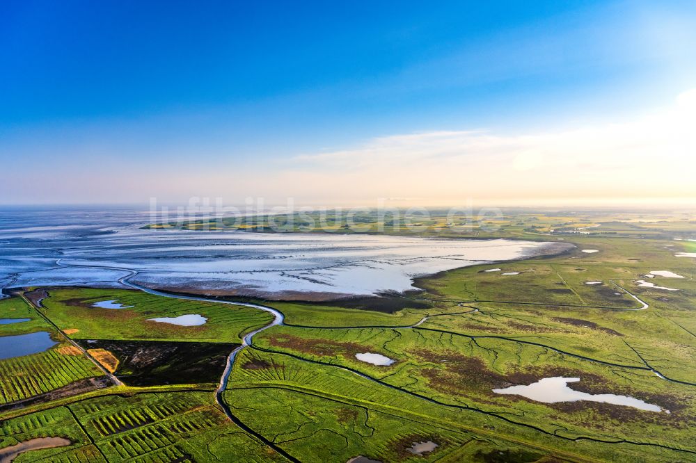 Greetsiel von oben - Grasflächen- Strukturen einer Salzwiesen-Leybucht Landschaft in Greetsiel im Bundesland Niedersachsen, Deutschland