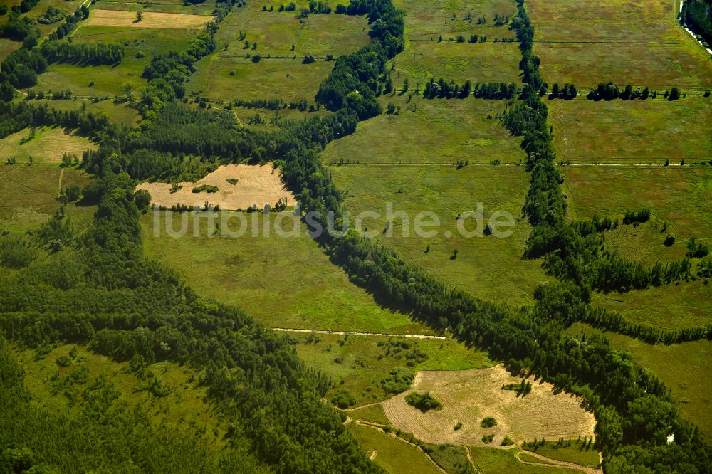 Raddusch von oben - Grasflächen- Strukturen einer Wiesen- Landschaft bei Raddusch im Bundesland Brandenburg, Deutschland