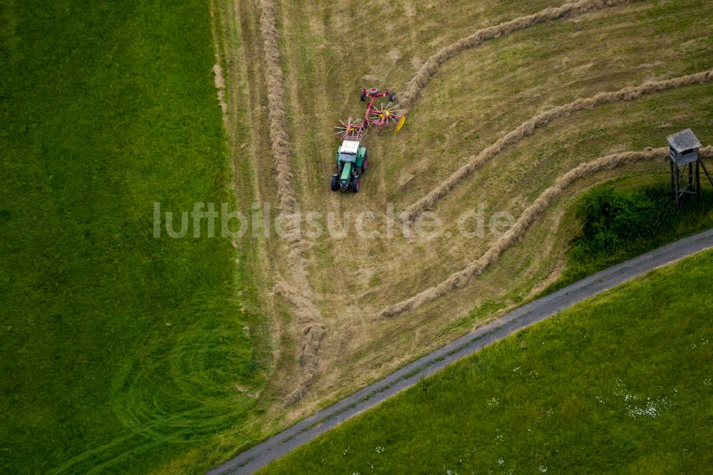 Dransfeld von oben - Grasmahd und Heureihen auf Feld- Flächen in Dransfeld im Bundesland Niedersachsen, Deutschland