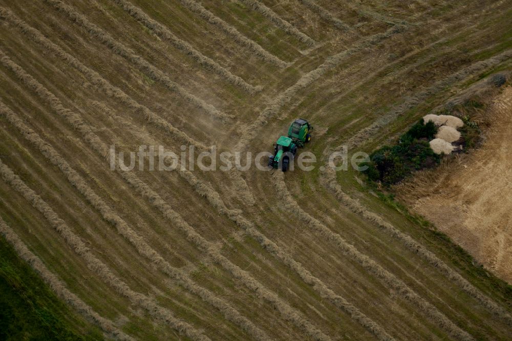 Luftbild Rosdorf - Grasmahd und Heureihen auf Feld- Flächen in Rosdorf im Bundesland Niedersachsen, Deutschland