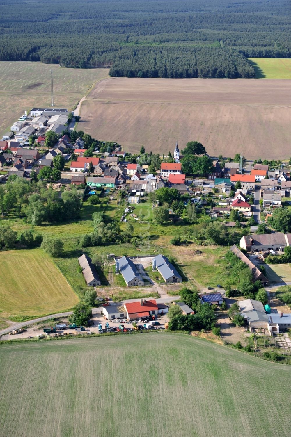 Luftbild Gräfenhainichen OT Schköna - Gräfenhainichen OT Schköna im Bundesland Sachsen-Anhalt