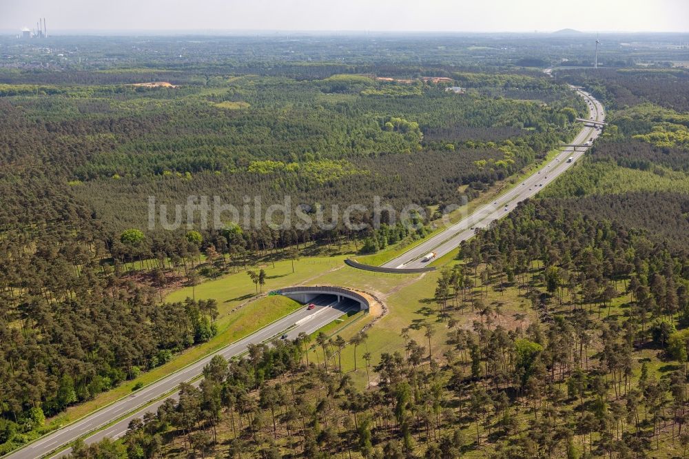 Luftaufnahme Schermbeck - Grünbrücke über die A 31 bei Schermbeck im Bundesland Nordrhein-Westfalen