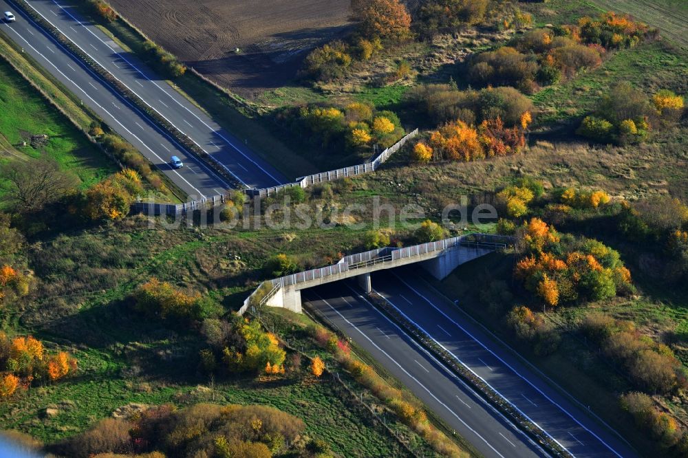 Luftaufnahme Kublank - Grünbrücke - Wildwechselbrücke an der Autobahn A20 bei Kublank im Bundesland Mecklenburg-Vorpommern