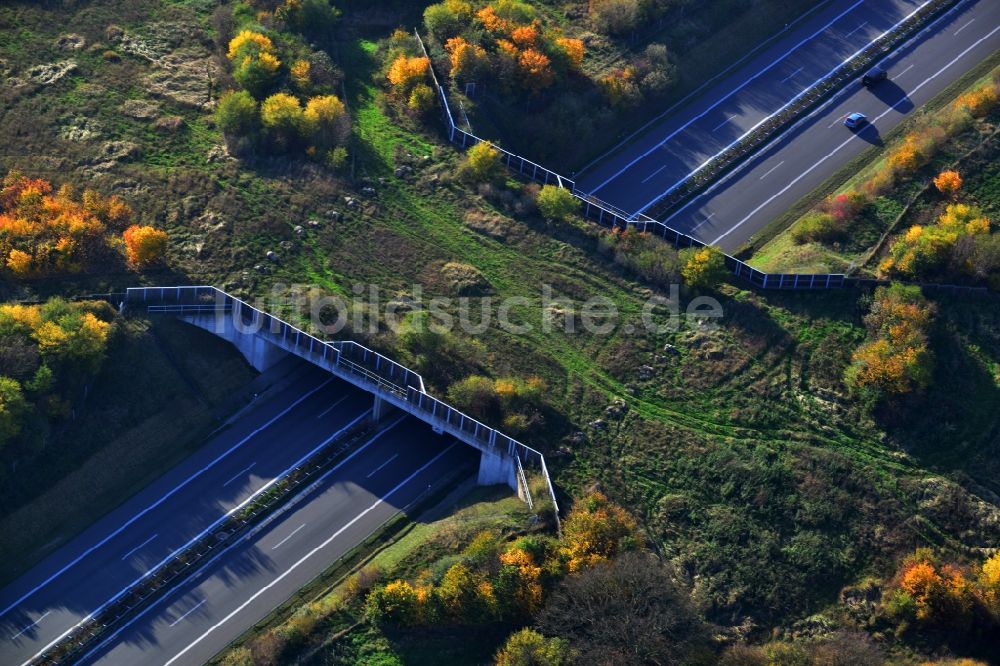 Luftaufnahme Kublank - Grünbrücke - Wildwechselbrücke an der Autobahn A20 bei Kublank im Bundesland Mecklenburg-Vorpommern