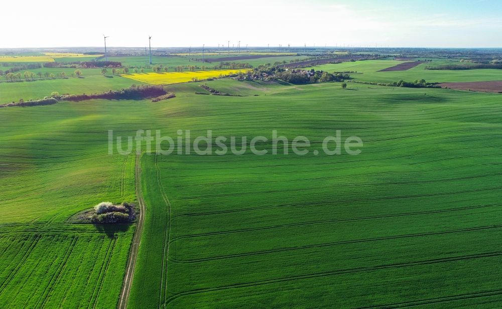 Carzig von oben - Grüne Getreidefeld- Strukturen in Carzig im Bundesland Brandenburg, Deutschland