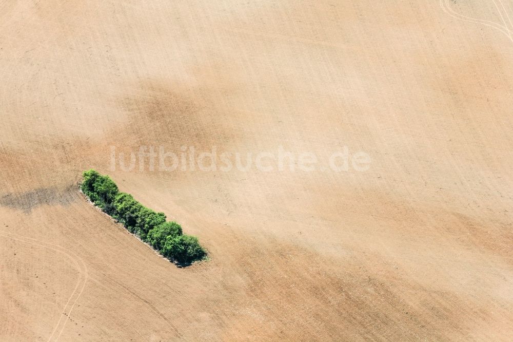 Luftbild Birgland - Grüne Insel aus Bäumen in einem Feld in Birgland im Bundesland Bayern