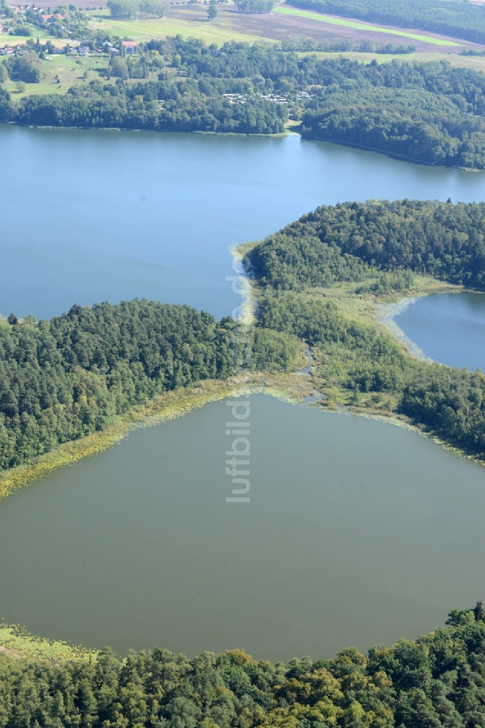 Waldsieversdorf von oben - Großer Klobichsee und Seenlandschaft in Waldsieversdorf im Bundesland Brandenburg