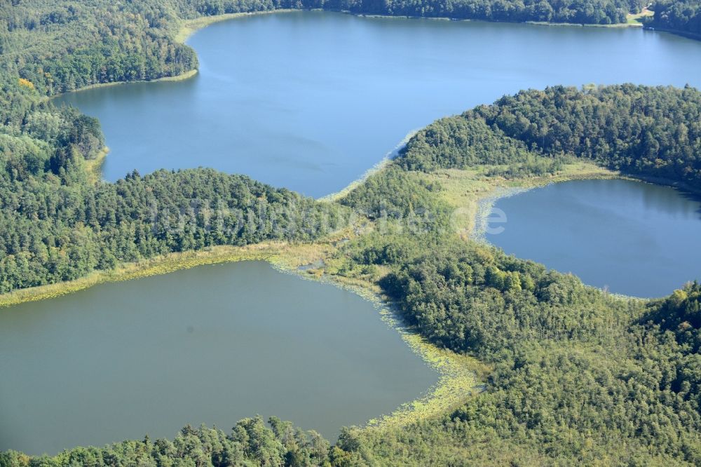 Luftbild Waldsieversdorf - Großer Klobichsee und Seenlandschaft in Waldsieversdorf im Bundesland Brandenburg