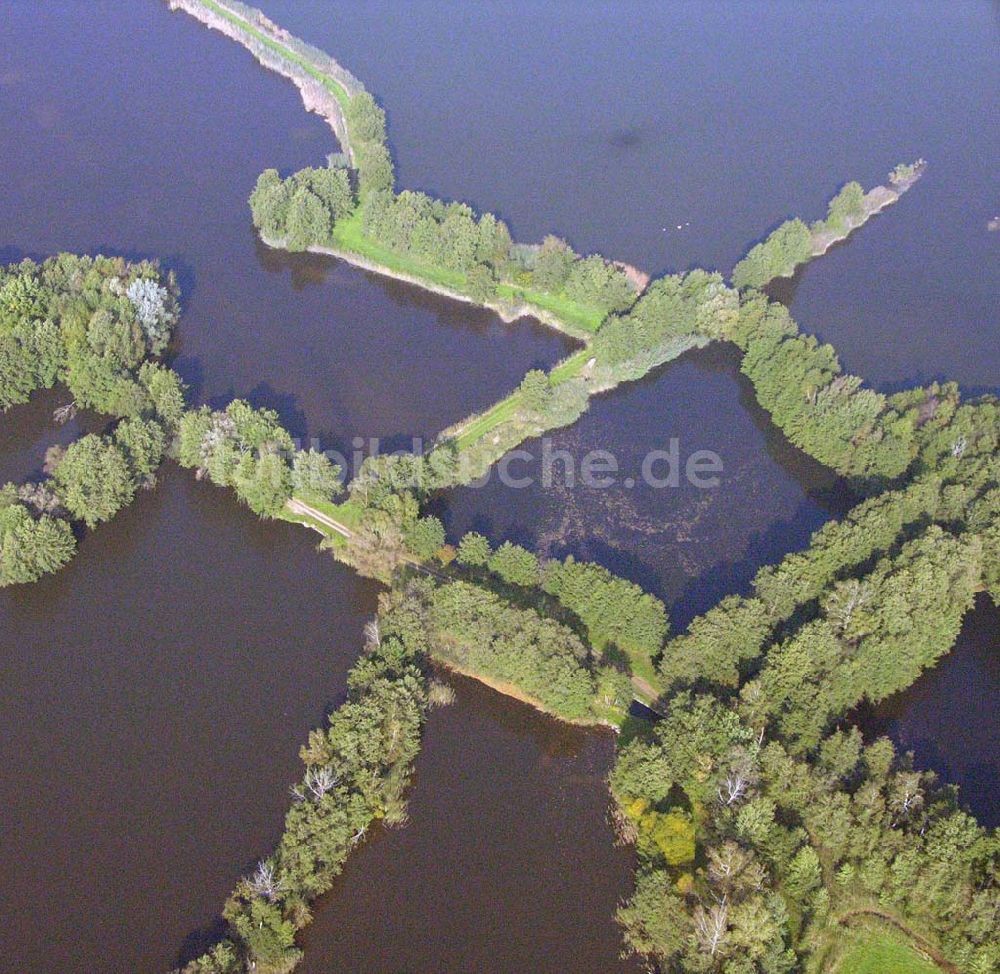 Luftaufnahme Bad Liebenwerda - Großer Maasdorfer Teich