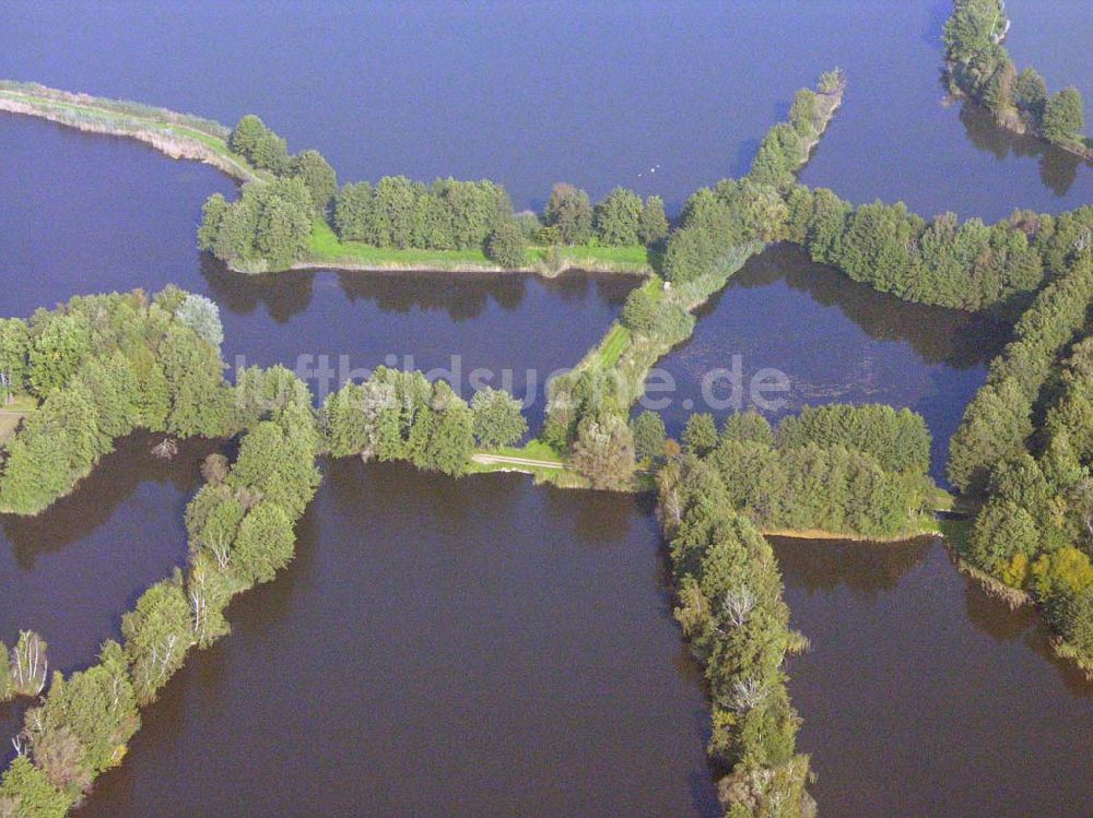 Bad Liebenwerda von oben - Großer Maasdorfer Teich