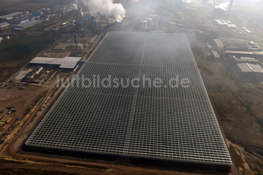 Lutherstadt Wittenberg von oben - Großgewächshausanlage Apollensdorf im Bundesland Sachsen-Anhalt