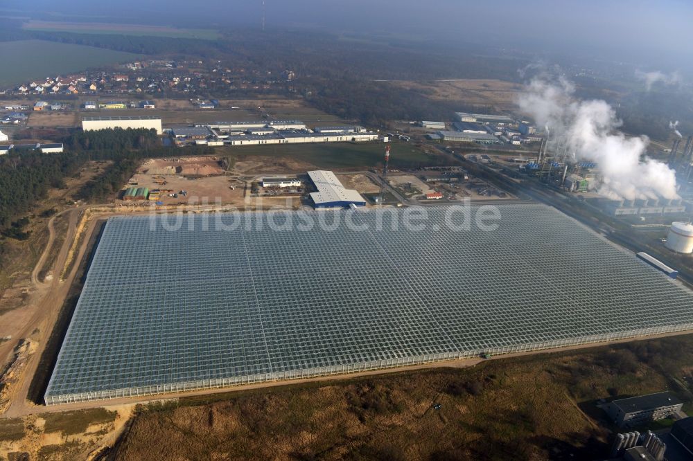 Lutherstadt Wittenberg aus der Vogelperspektive: Großgewächshausanlage Apollensdorf im Bundesland Sachsen-Anhalt