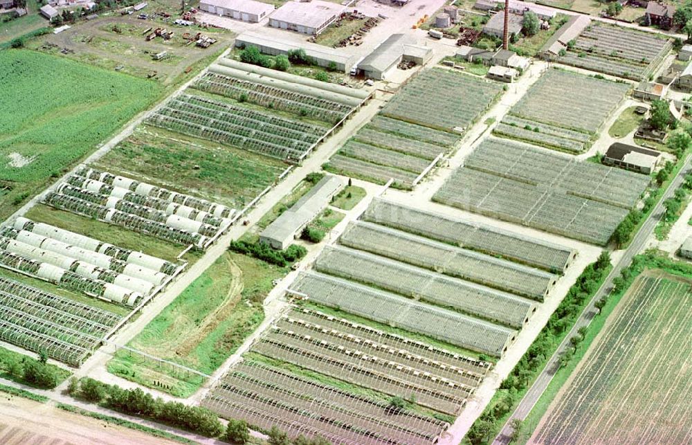 Manschnow / Brandenburg aus der Vogelperspektive: Großgärtnerei Manschnow / Brandenburg.