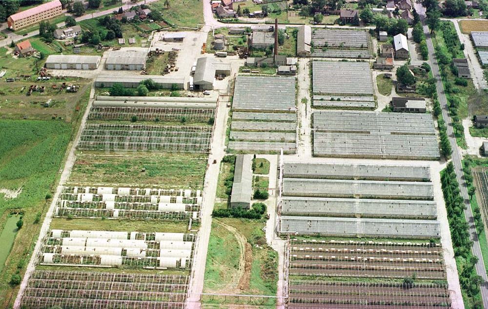 Luftbild Manschnow / Brandenburg - Großgärtnerei Manschnow / Brandenburg.