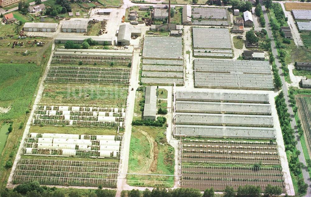 Luftaufnahme Manschnow / Brandenburg - Großgärtnerei Manschnow / Brandenburg.