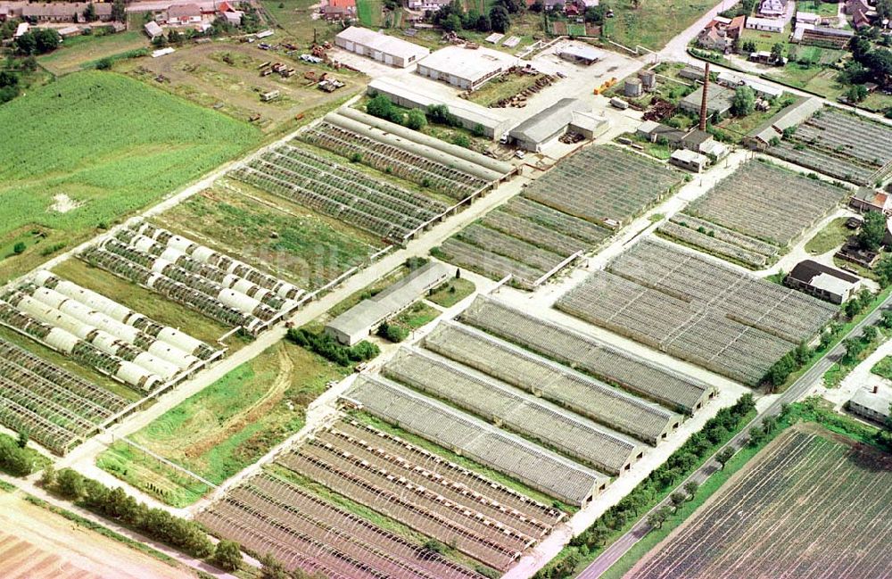 Luftaufnahme Manschnow / Brandenburg - Großgärtnerei Manschnow / Brandenburg.