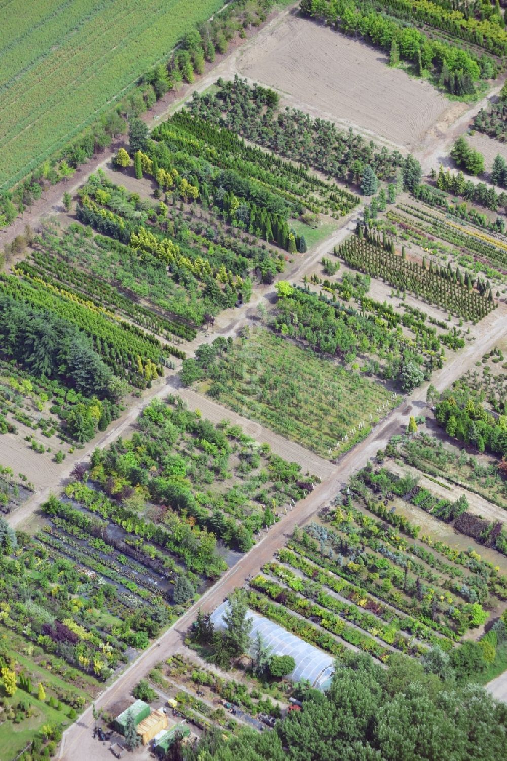 Neuenhagen von oben - Gärtnerei und Gartenanlage im Ortsteil Bollensdorf in Neuenhagen bei Berlin im Bundesland Brandenburg