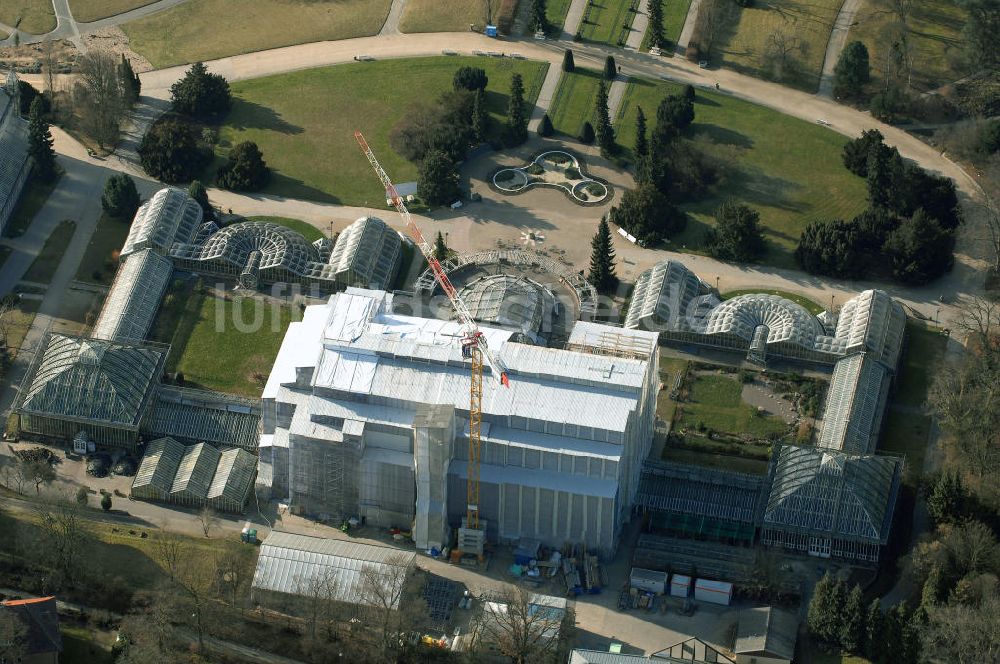 Luftaufnahme Berlin - Grundsanierung des Großen Tropenhaus im Botanischen Garten Berlin.