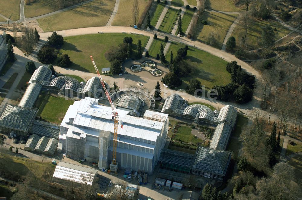 Berlin von oben - Grundsanierung des Großen Tropenhaus im Botanischen Garten Berlin.