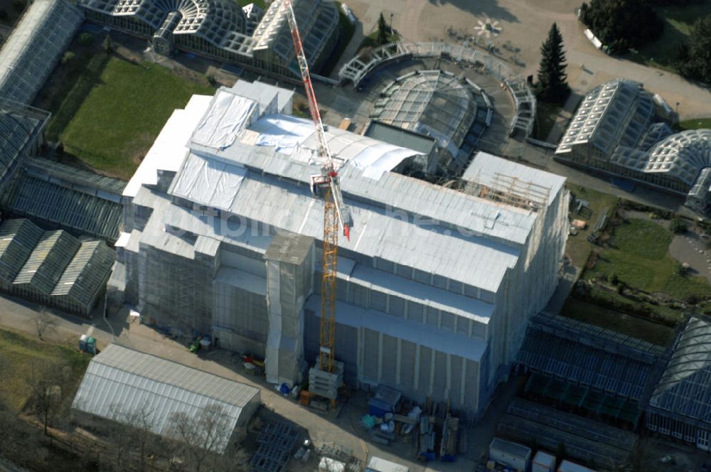 Berlin aus der Vogelperspektive: Grundsanierung des Großen Tropenhaus im Botanischen Garten Berlin.