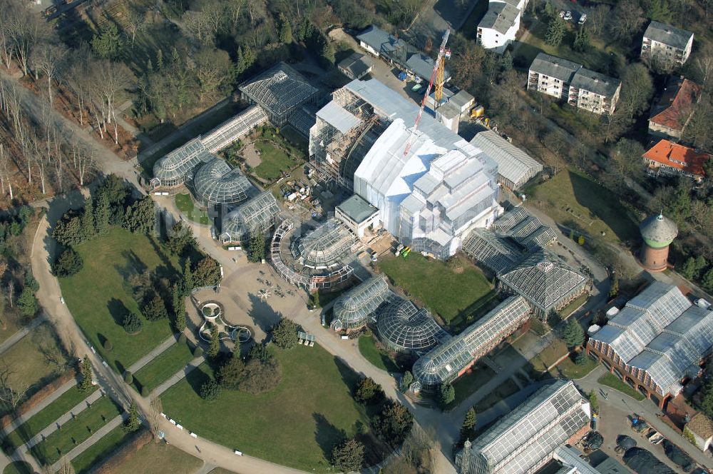 Luftbild Berlin - Grundsanierung des Großen Tropenhaus im Botanischen Garten Berlin.