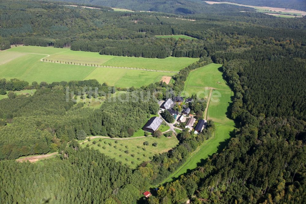 Schlangenbad aus der Vogelperspektive: Gästehaus und Pferde-Zuchstätte in Schlangenbad im Bundesland Hessen