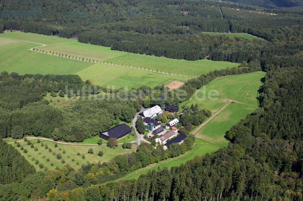 Luftaufnahme Schlangenbad - Gästehaus und Pferde-Zuchstätte in Schlangenbad im Bundesland Hessen