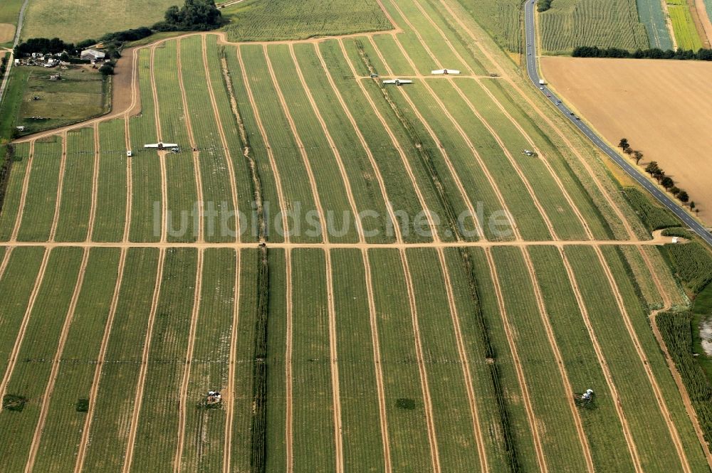 Luftbild Niederdorla - Gurkenernte der Hainich Obst- und Gemüse - GmbH in Niederdorla in Thüringen