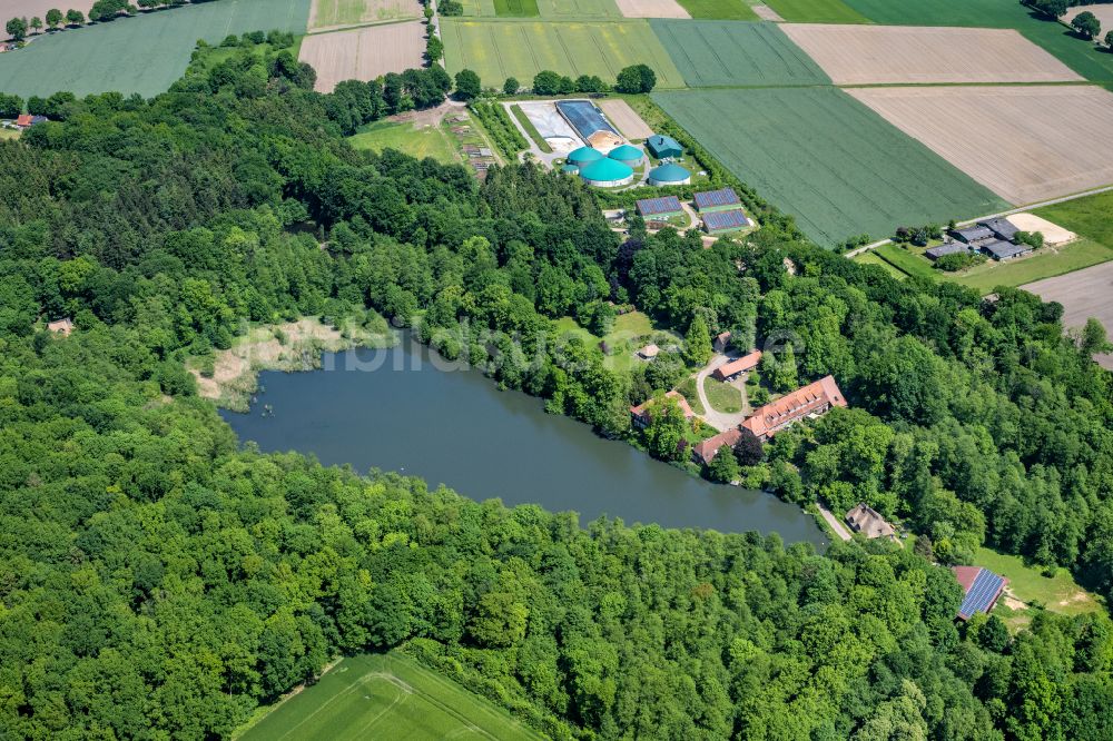 Horneburg aus der Vogelperspektive: Gutshaus und Landgut Gut Daudik in Horneburg im Bundesland Niedersachsen, Deutschland