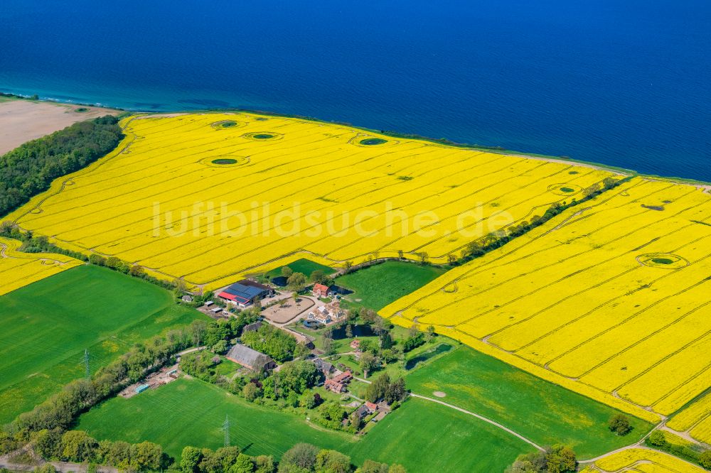 Wangels aus der Vogelperspektive: Gutshaus und Landgut Gut Friederikenhof in Wangels im Bundesland Schleswig-Holstein, Deutschland