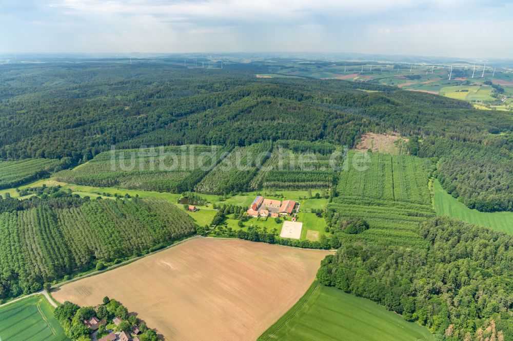 Diemelstadt von oben - Gutshaus und Landgut an der Straße Zur Helle in Diemelstadt im Bundesland Hessen, Deutschland