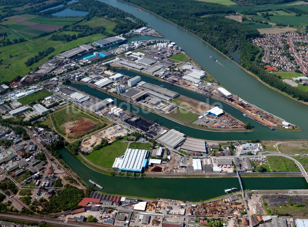 Ludwigshafen von oben - Hafen - Becken und Hafenanlagen und Containerterminal der Triport GmbH in Ludwigshafen im Bundesland Rheinland-Pfalz