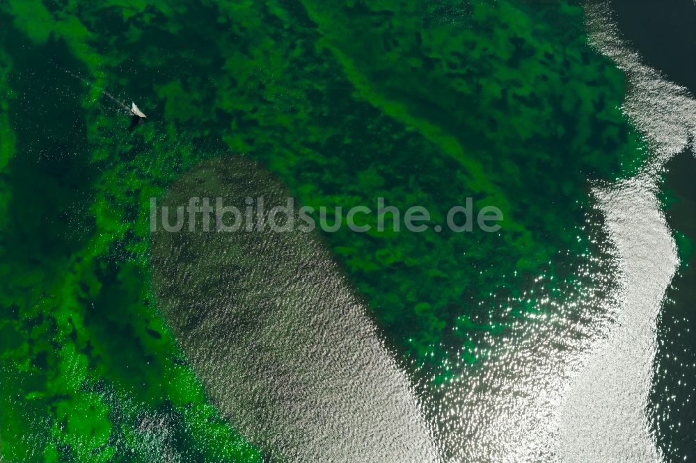 Radolfzell am Bodensee von oben - Halbinsel auf dem Mettnau bei Radolfzell am Bodensee im Bundesland Baden-Württemberg, Deutschland