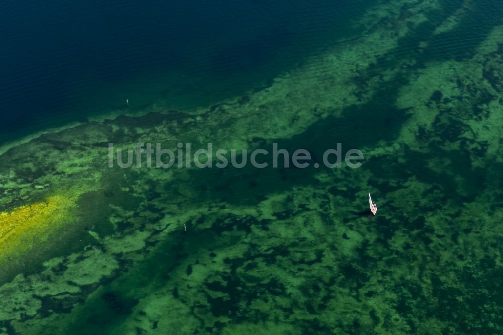 Radolfzell am Bodensee aus der Vogelperspektive: Halbinsel auf dem Mettnau bei Radolfzell am Bodensee im Bundesland Baden-Württemberg, Deutschland