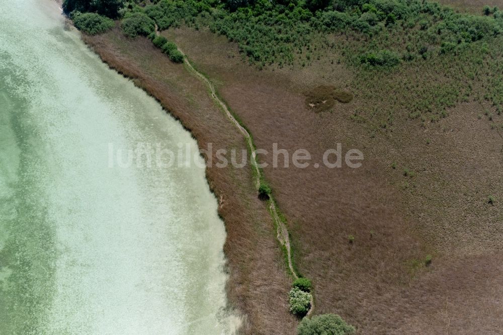 Luftaufnahme Radolfzell am Bodensee - Halbinsel Mettnau Landschaft mit Uferbereich in Radolfzell am Bodensee im Bundesland Baden-Württemberg, Deutschland